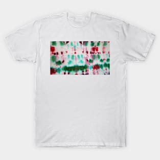 Fruit Cake Cross Section T-Shirt